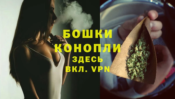 гашик Арсеньев