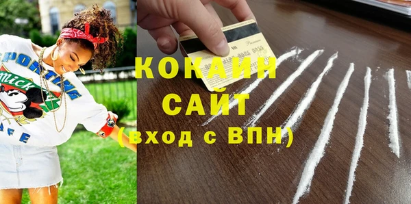 гашик Арсеньев