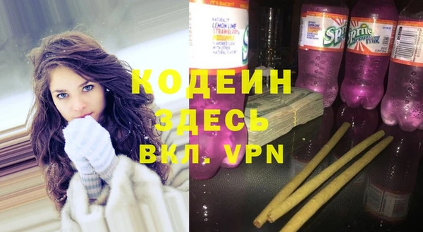 гашик Арсеньев