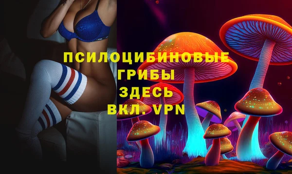гашик Арсеньев