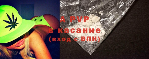амф Аркадак